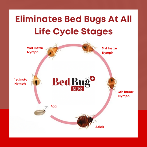 Eliminates bed bugs at all life cycle stages: egg, 1st through 4th instar nymphs, and adult.