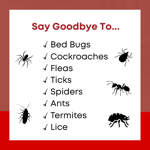 Say goodbye to: bed bugs, cockroaches, fleas, ticks, spiders, ants, termites, and lice.