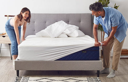 Mattress Cover - Bed Bug Plus Store