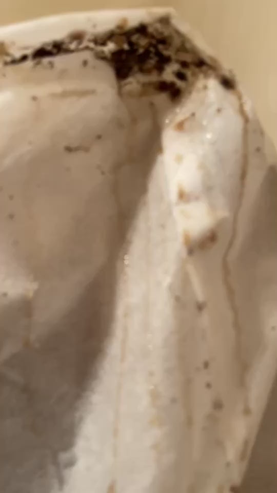 video of bed bug infestation Oklahoma City